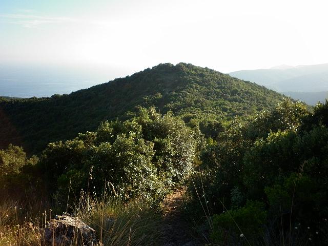 mare 013.JPG